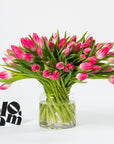 Cerise Pink Tulips