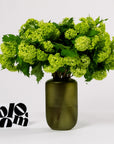 Green Viburnum