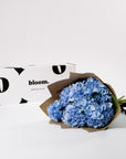 Powder Blue Hydrangea