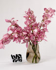 Dusky Rose Pink Cymbidium
