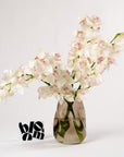 Porcelain White Cymbidium