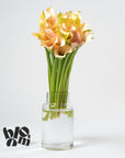 Ballet Slipper Pink Calla Lily