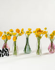 Sunshine Yellow Ranunculus