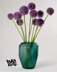 Royal Purple Allium