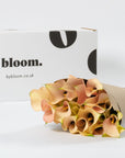 Ballet Slipper Pink Calla Lily