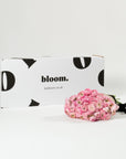 Ballet Slipper Pink Ranunculus