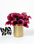 Raspberry Pink Calla Lily