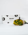 Goldfinch Yellow Tulips