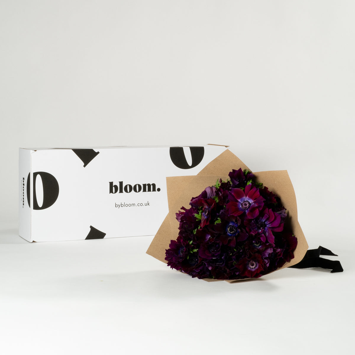 Purple Velvet Anemones