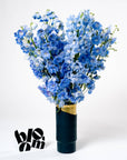 Glacier Blue Delphinium