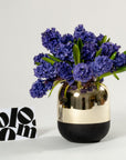Ultra Marine Blue Hyacinths