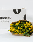 Goldfinch Yellow Tulips