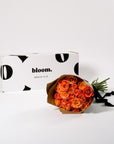 Coral Sunset Roses