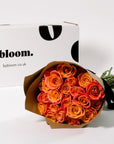 Coral Sunset Roses