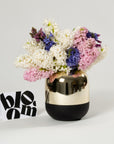 Mixed Colour Hyacinths