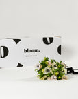 Porcelain White Anemones