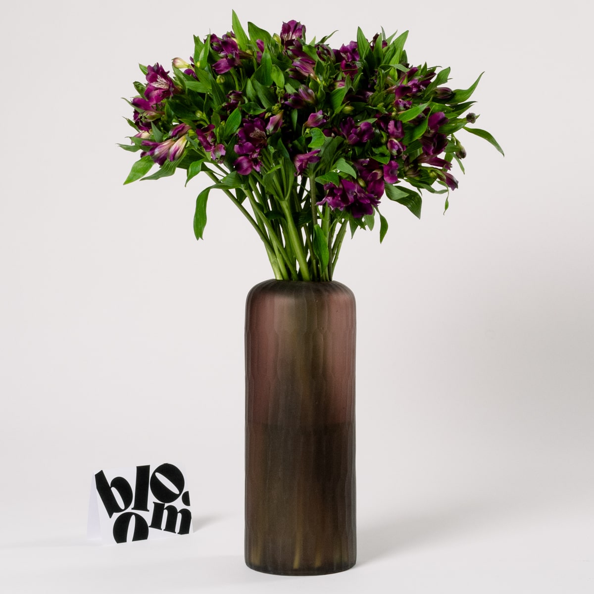Royal Purple Alstroemeria