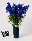 Ultra Marine Blue Delphinium