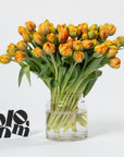 Tangerine Tulips