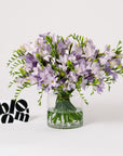 Violet Dust Freesia