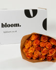Tangerine Orange Rose