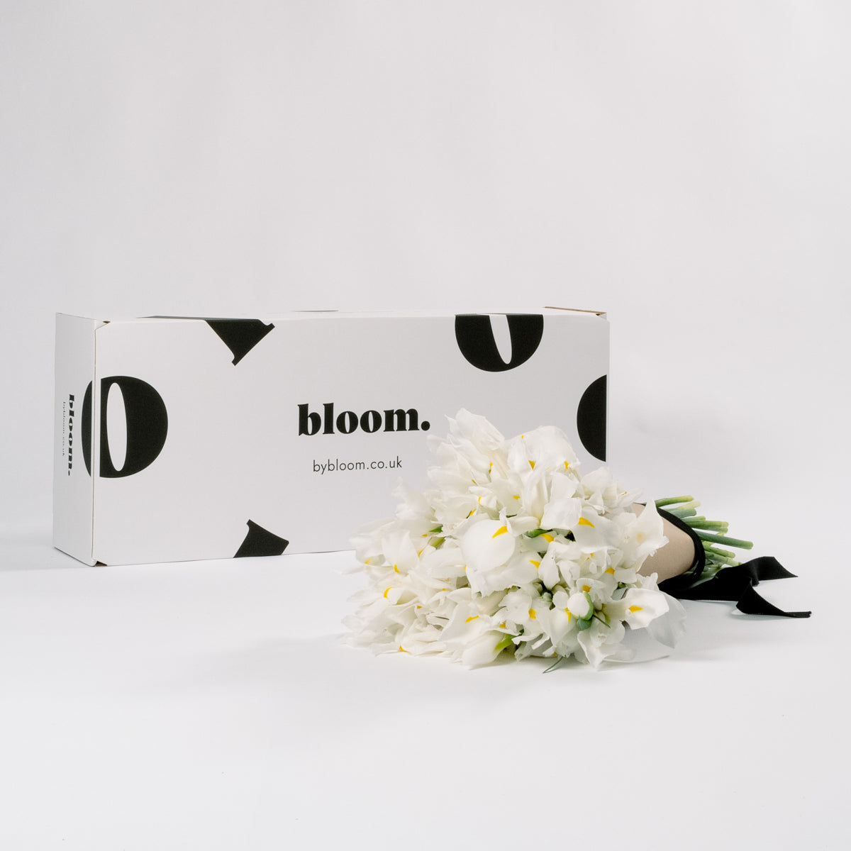 Polar White Iris