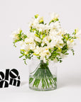 Arctic White Freesia
