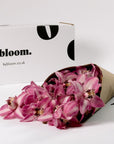 Dusky Rose Pink Cymbidium