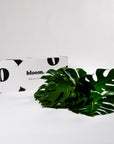 Green Monstera Leaf