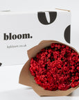 Royal Red Bouvardia