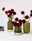 Merlot Red Dahlia