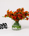 Tangerine Orange Freesia