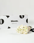 Porcelain White Ranunculus