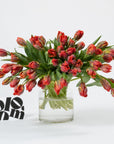 Royal Red Tulips