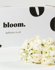 Porcelain White Ranunculus