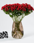 Royal Red Bouvardia