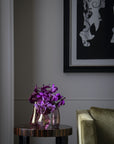 Muddled Grape Vanda Orchid