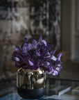 Purple Magic Vanda Orchid