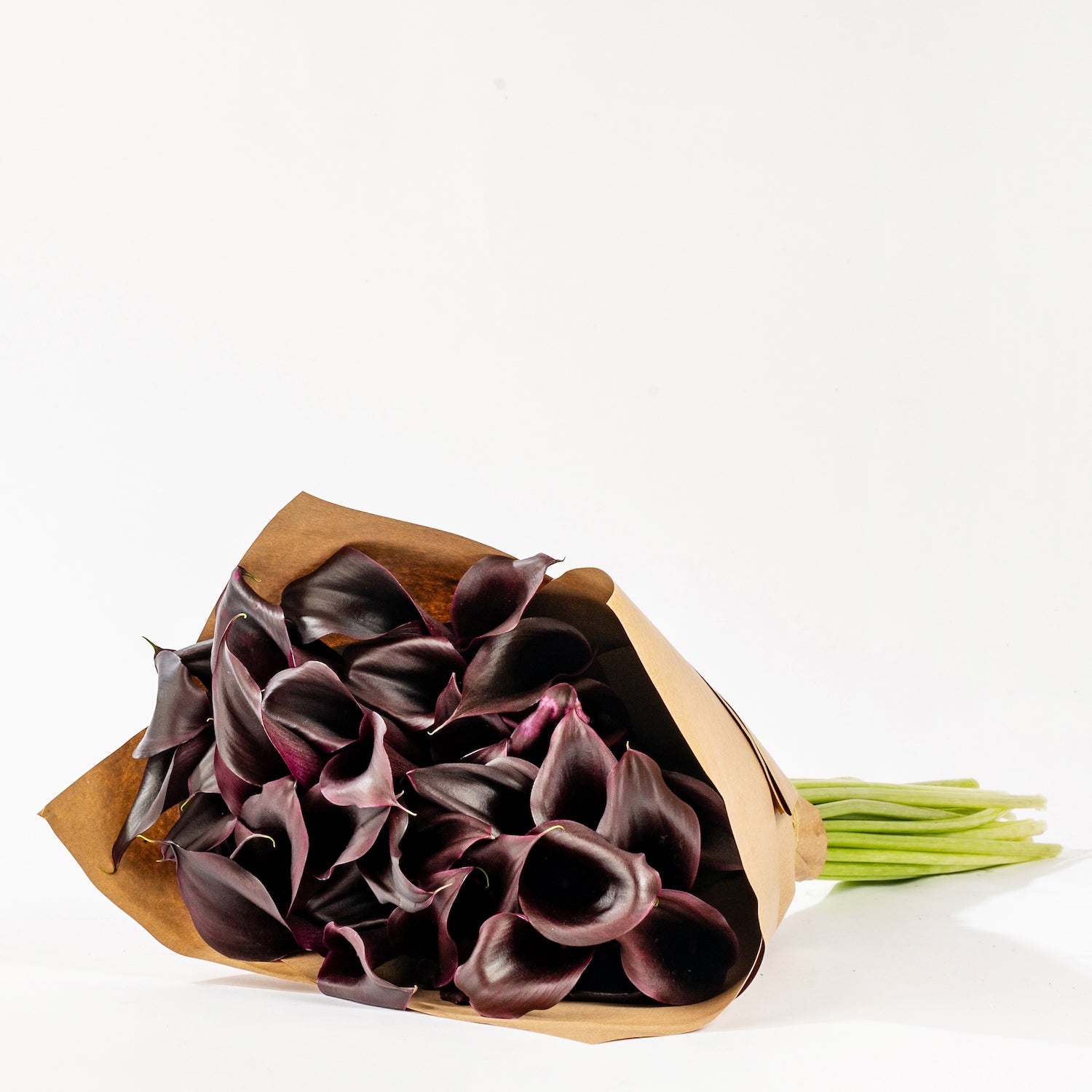 Ebony Black Calla Lily | Sustainable Flower Delivery