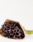 Ebony Black Calla Lily