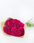 Hot Pink Carnations