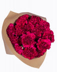 Hot Pink Carnations