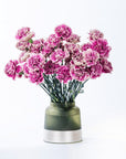 Pink Carnations