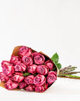 Cerise Pink Rose