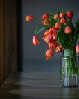 Orange French Tulip