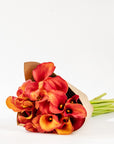 Orange Marmalade Calla Lily