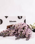 Lilac Delphinium
