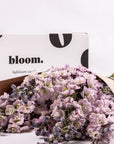 Lilac Delphinium