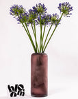 Blue Agapanthus
