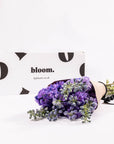 Purple Velvet Delphinium